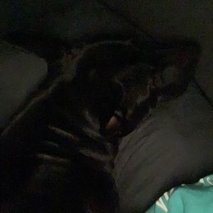 Meet your Posher, Danielle